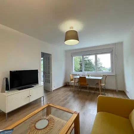 Vue Lac, Et Contemporain *